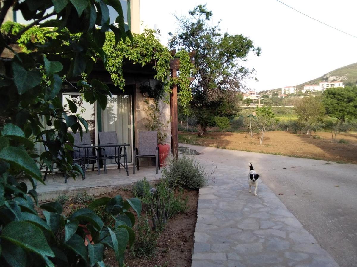 Αμυγδαλιές 33 Μύρινα Villa Bagian luar foto